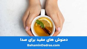 تغذیه مناسب برای صدا