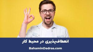 انعطاف پذیری